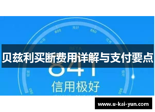 贝兹利买断费用详解与支付要点 贝兹利买断费用详解与支付要点