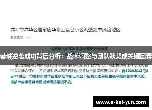 蓉城逆袭成功背后分析：战术调整与团队默契成关键因素