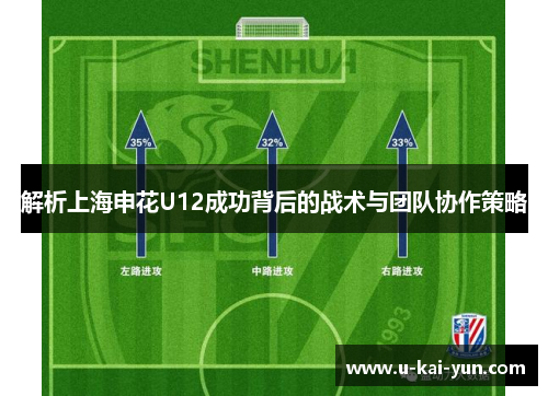 解析上海申花U12成功背后的战术与团队协作策略 解析上海申花U12成功背后的战术与团队协作策略