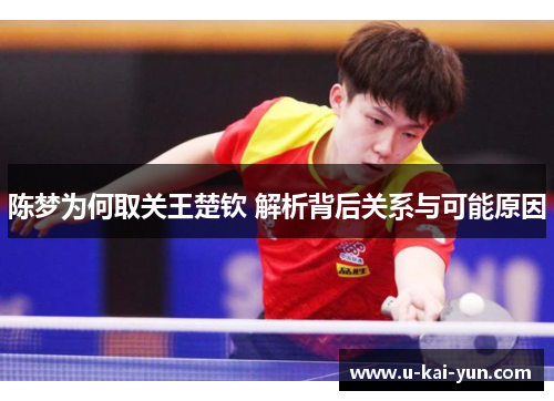 陈梦为何取关王楚钦 解析背后关系与可能原因