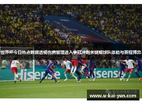 世界杯今日热点数据透视伤病管理进入争冠冲刺关键期球队体能与赛程博弈