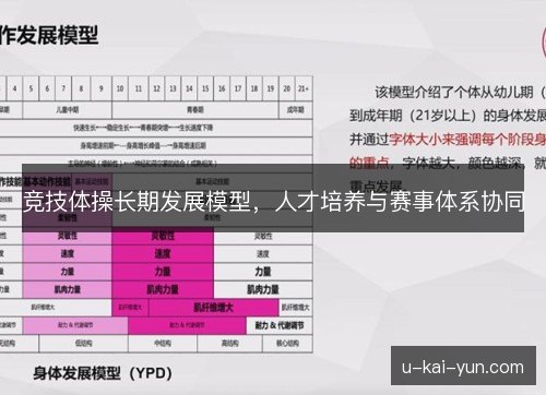 竞技体操长期发展模型，人才培养与赛事体系协同